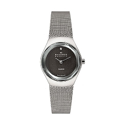 Skagen Womens Diamond 432SSSB Watch