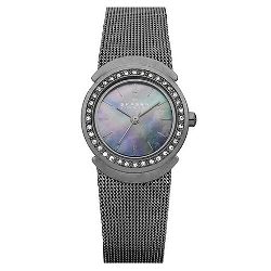 Skagen Womens Steel 622SMM Watch